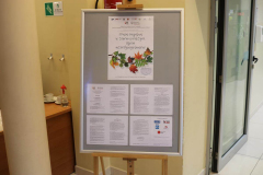 Plakat i program konferencji