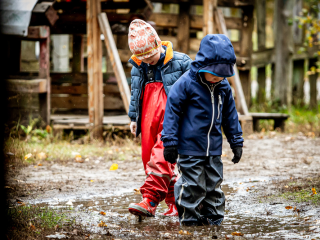 dzieci z Niepublicznego Leśnego Przedszkola Dziupla 