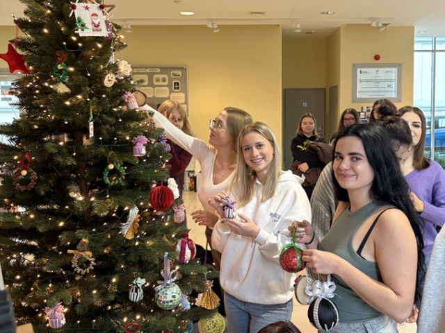 Studentki ubierają Choinkę