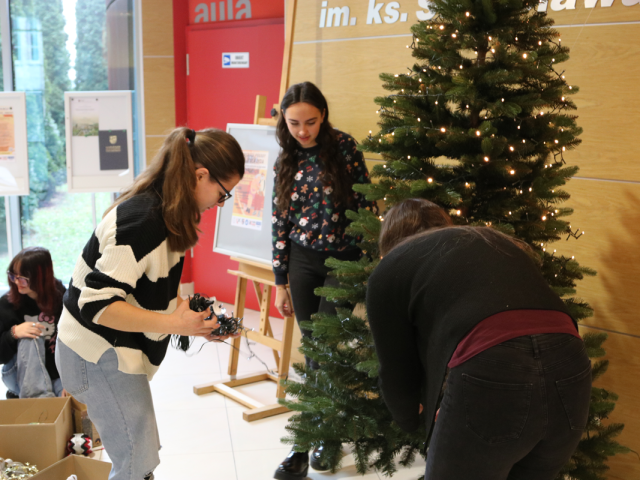 Studentki ubierają Choinkę