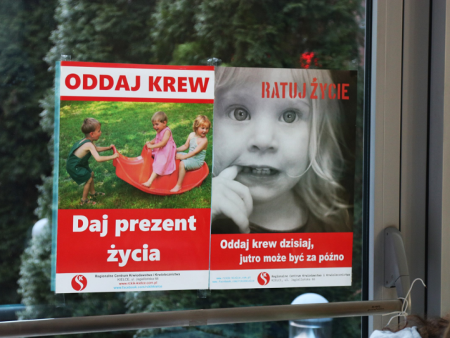 zdjecie_01